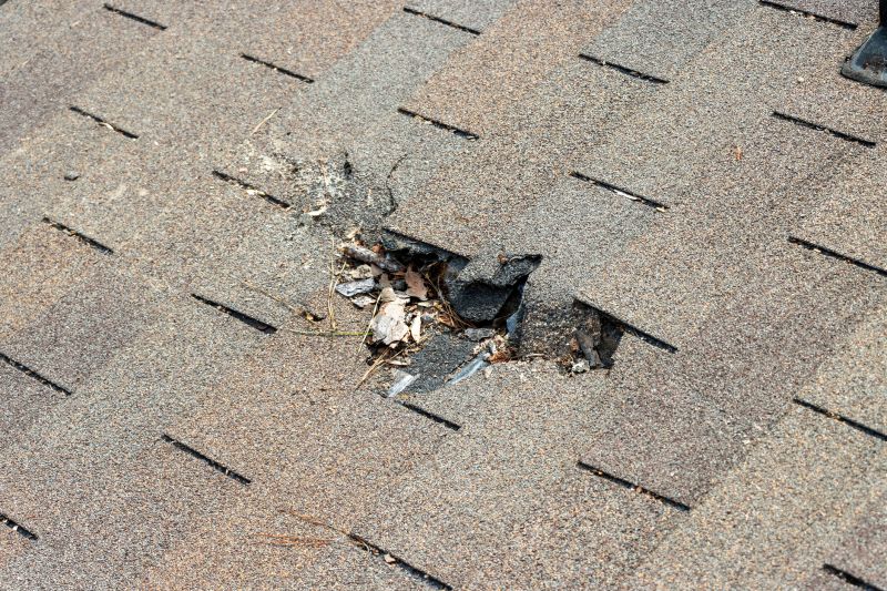 Roof Shingles Replacement in North Reading, MA