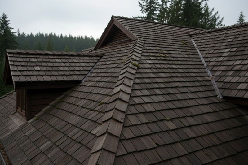 Cedar Shingles Replacement in Quincy, MA